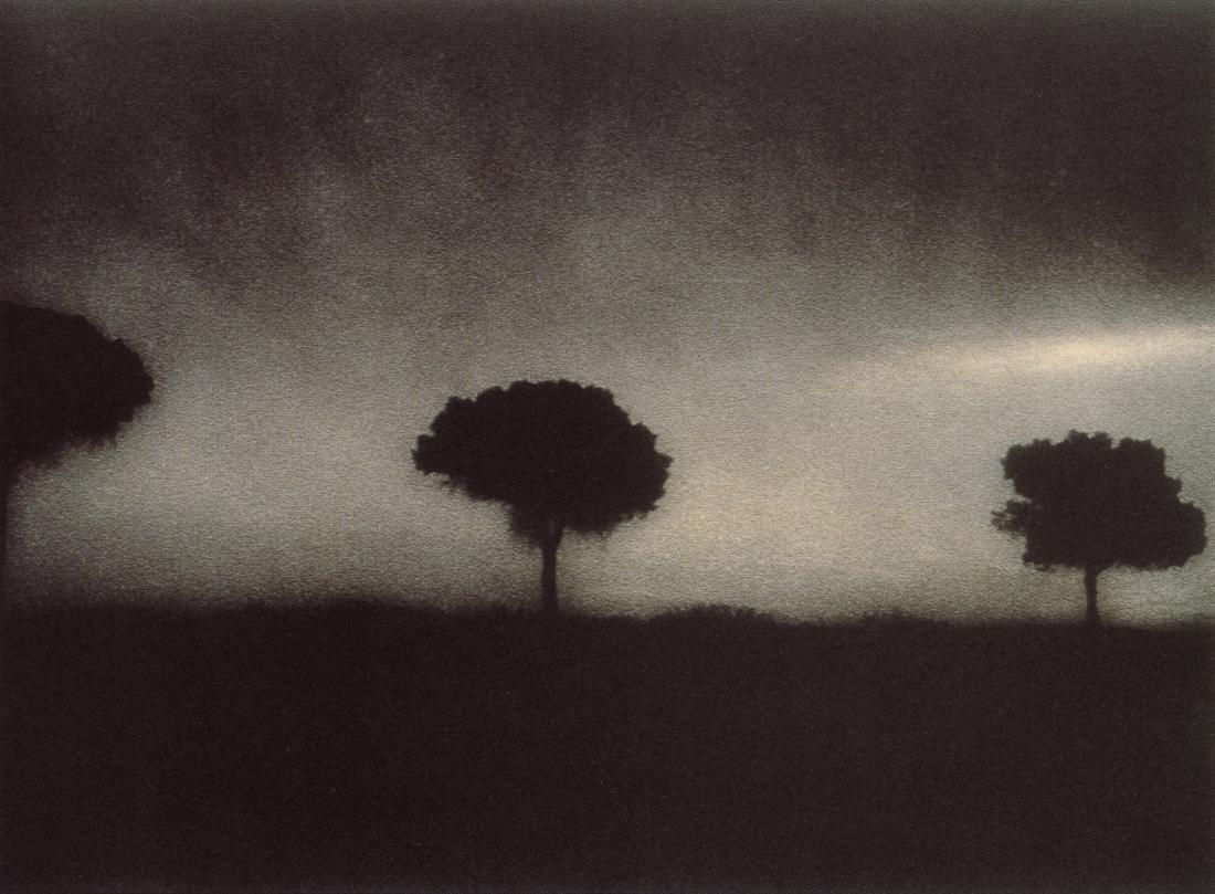 ROCKY SCHENCK - Three Trees, 1995 (1 of 1)