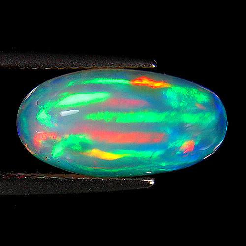 2.56Ct TOP GRADE GEM ! RAINBOW MULTI FLASHY 3D FLORAL HARLEQUIN WELO OPAL (1 of 1)