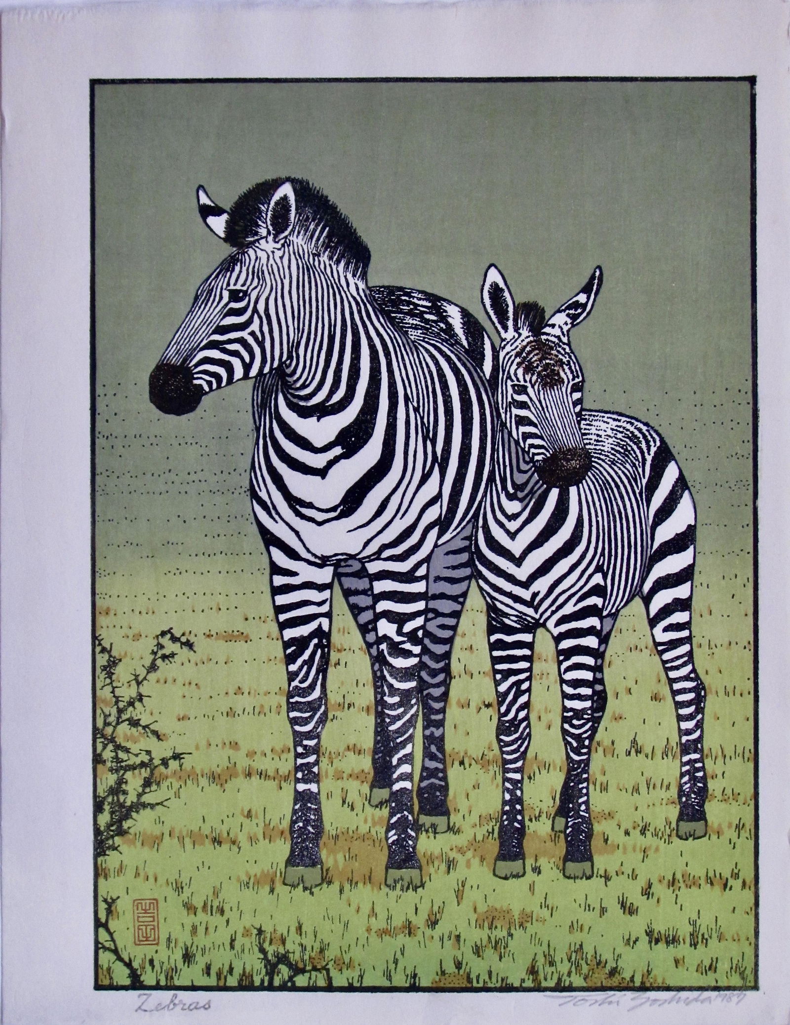 Toshi Yoshida: Zebras: Artist: Toshi YOSHIDA Subject: Zebras Publisher: Self Signature: Toshi Yoshida in pencil Date: 1987 Format: chûban, 22.7 x 29.5 cm Condition: Fine impression, color and condition Reserve: $380.00