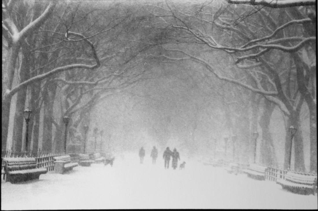 Bruce Davidson: Central Park in Winter. New York, 1992: Artist: Bruce Davidson Title: Central Park in Winter. New York, 1992 Date Printed: 2008 Medium: High Quality Photo Print with Copyright Bruce Davidson / Magnum Photos Print Origin: Printed in Italy fr