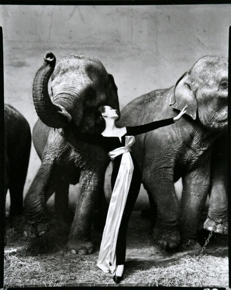 Richard Avedon Framed Poster Dovima With Elephants Paris