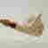 item-124626902=4