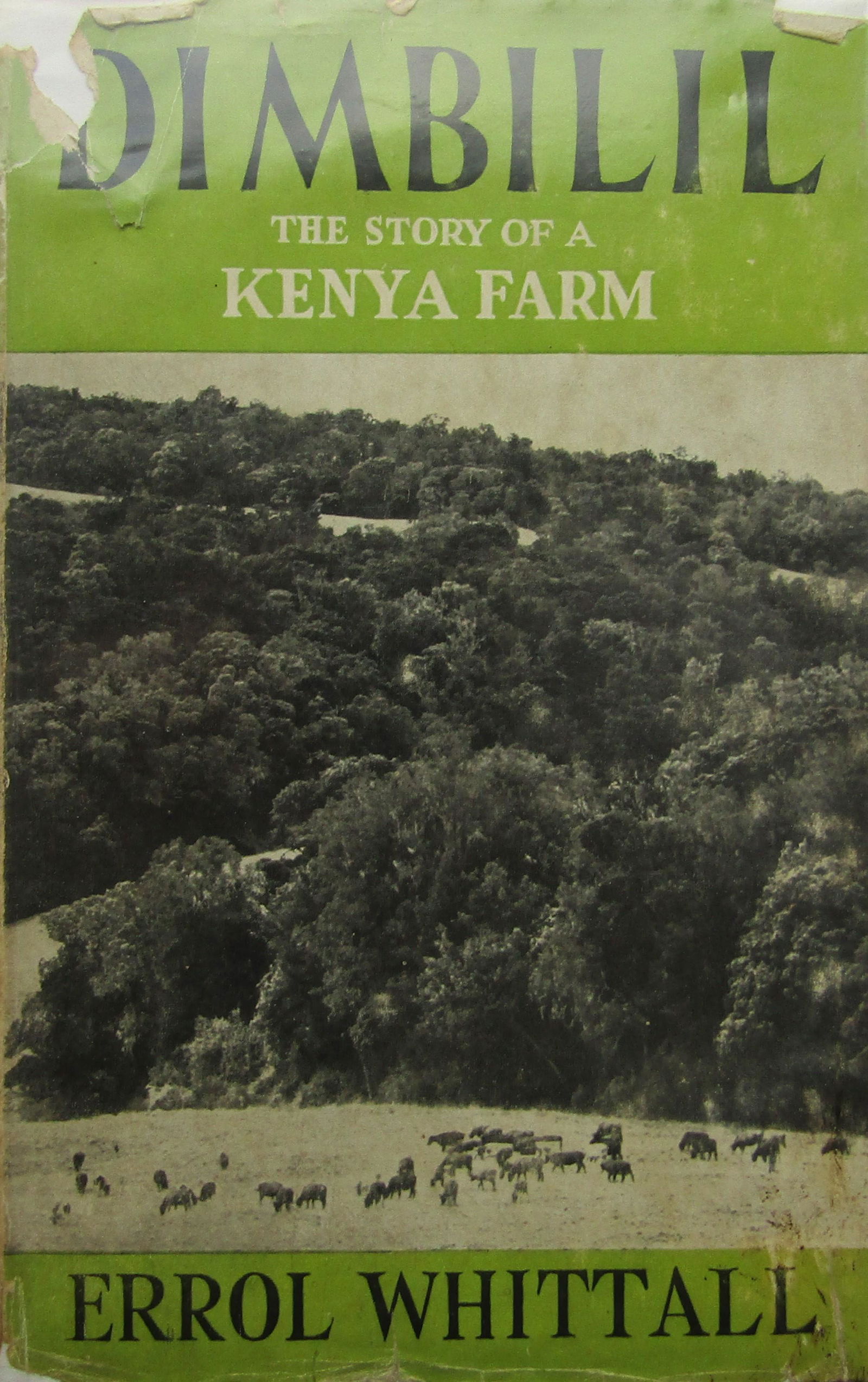 Dimbilil The Story Of A Kenya Farm (1 of 4)