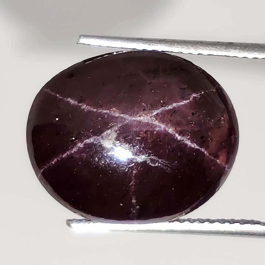 20 ct Natural Star Garnet (1 of 3)