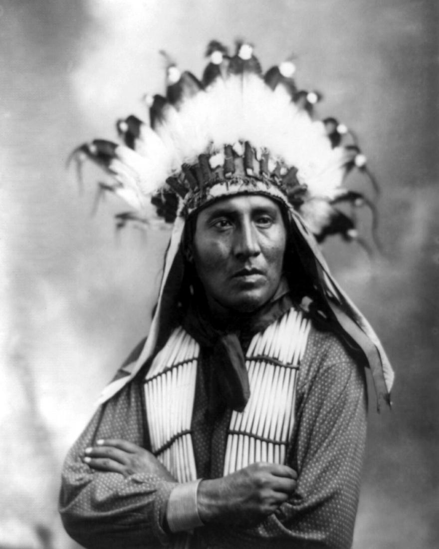 1899, RUNNING HORSE, BY HERMAN HEYN (1 of 1)