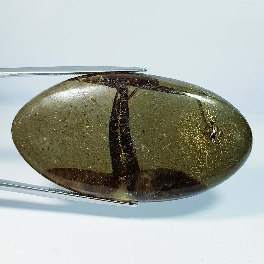 80.88 ct Natural Jasper: No Reserve! Title: 80.88 ct Natural Jasper Color/Clarity: Opaque Gemstones: Gemstones Carat Weights: 80.88 Size/Dimensions: 56.60 x 30.55 x 5.80 Additional Information: Oval - Brazil Shipping: Domest