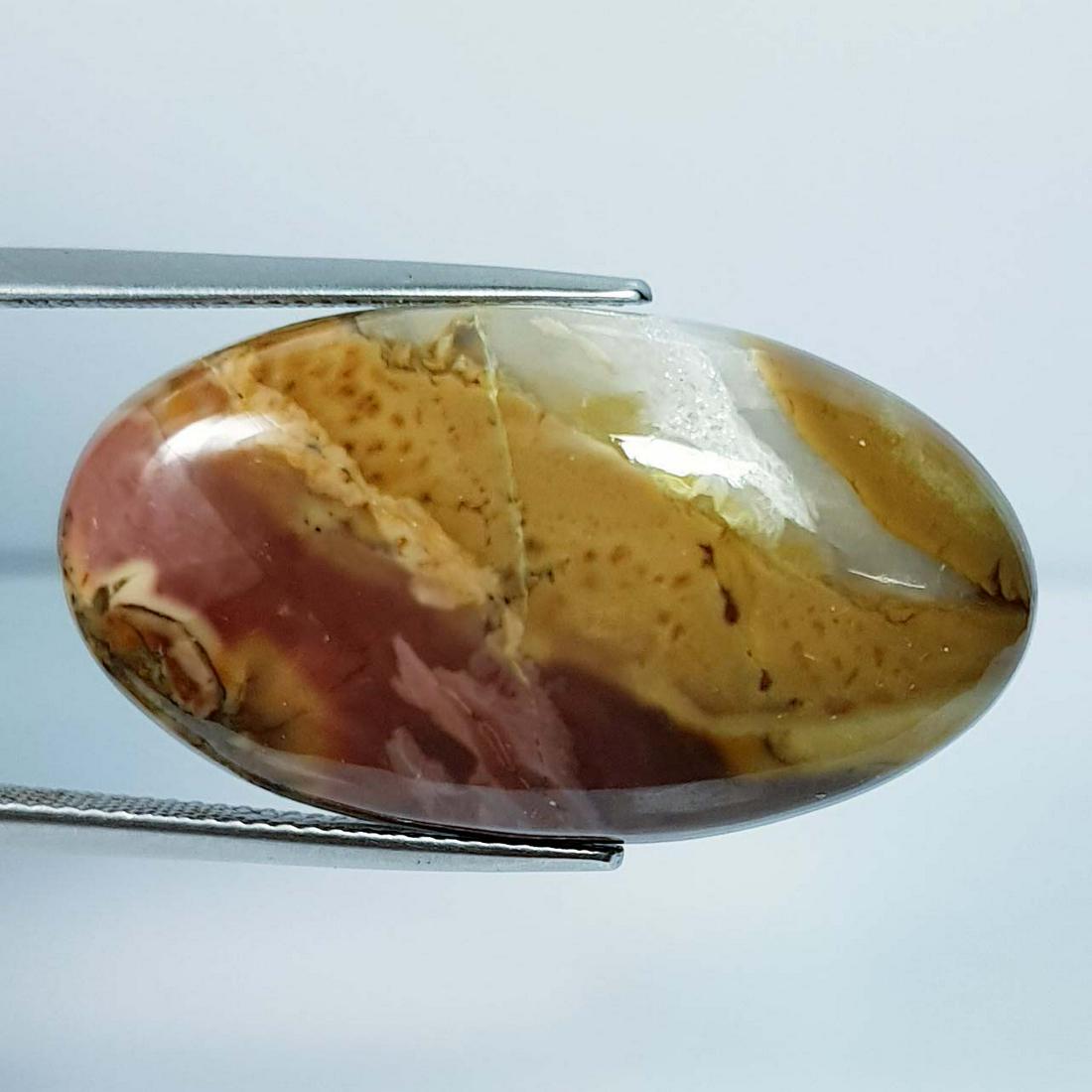 33.94 Ct Natural American Jasper: No Reserve! Title: 33.94 Ct Natural American Jasper Color/Clarity: Opaque Gemstones: LooseGemstone Carat Weights: 33.94 Size/Dimensions: 33.65 x 18.70 x 6.80 Additional Information: Oval - Africa Ship