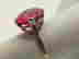 item-125007721=6
