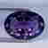 item-125130017=4