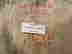 item-125248664=8