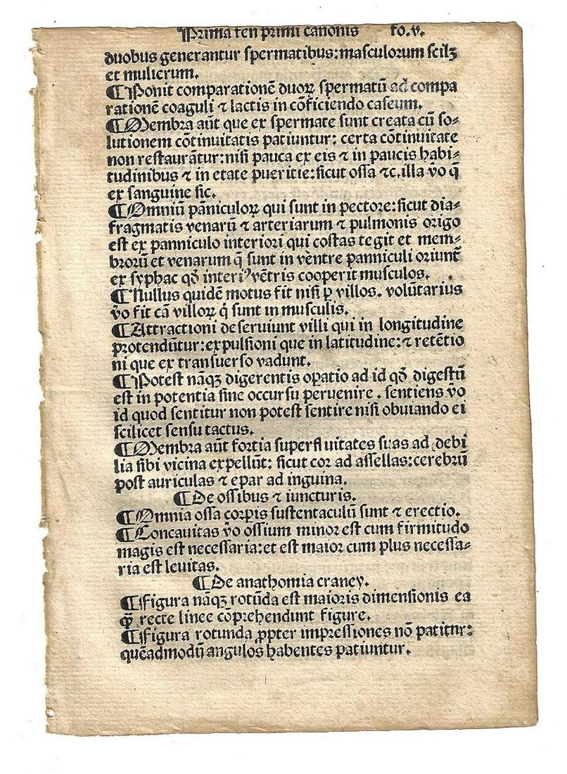 1508 Leaf Canon of Avicenna (1 of 2)