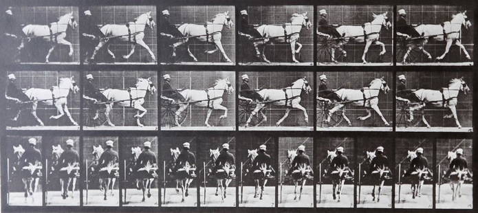 Eadweard Muybridge: Horse with carriage A.L. 671: Artist: Eadweard MuybridgeTitle: Horse with carriage A.L. 671Date Printed: Printed in 1979 Heavy weight, matte finishMedium: Vintage Photogravure With dry mount tissue guard Print Origin: Printed in