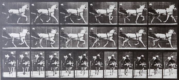 Eadweard Muybridge: Horse with carriage A.L. 671: Artist: Eadweard MuybridgeTitle: Horse with carriage A.L. 671Date Printed: Printed in 1979 Heavy weight, matte finishMedium: Vintage Photogravure With dry mount tissue guard Print Origin: Printed in