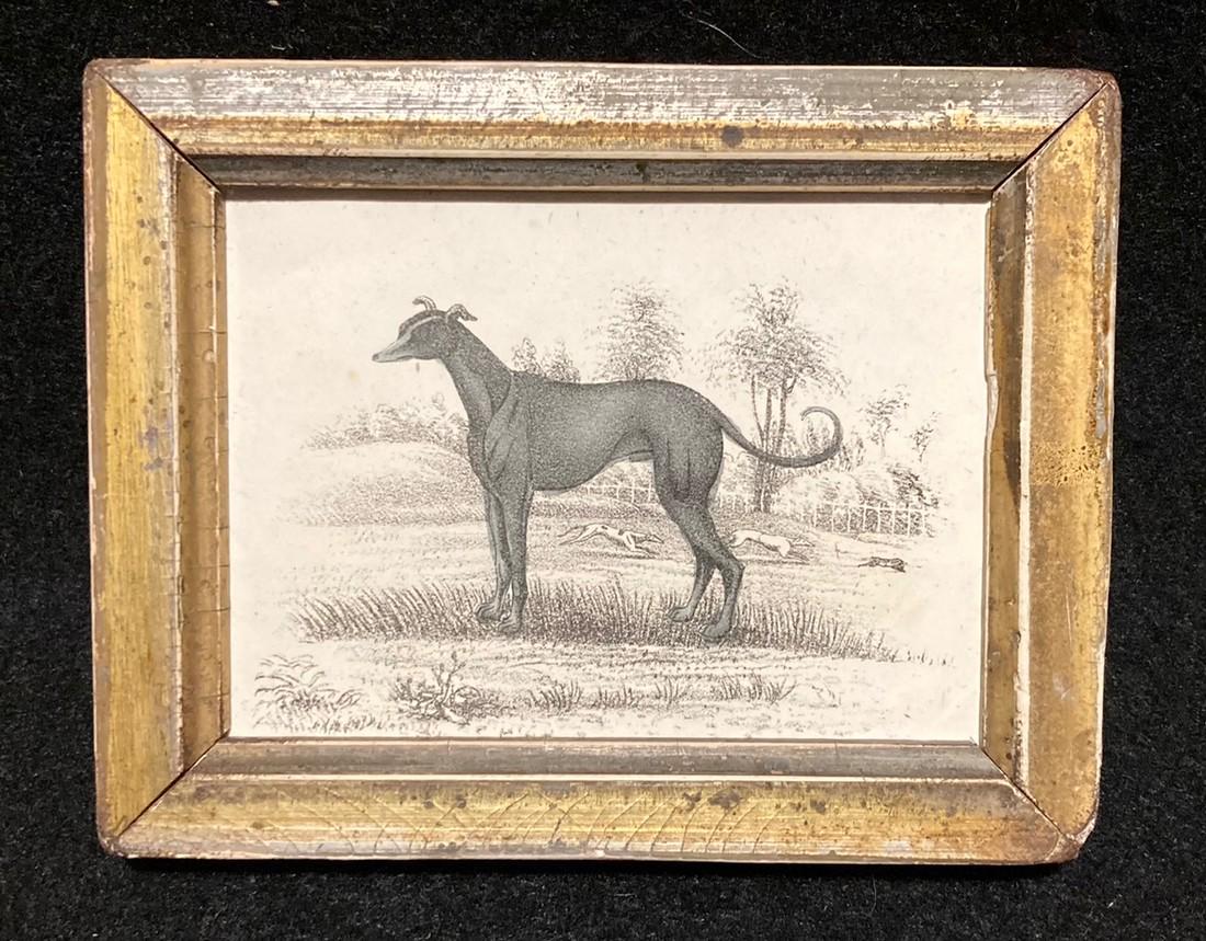 C1830 hand colored greyhound engraving. (1 of 2)