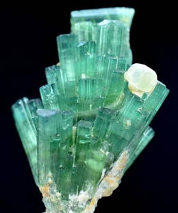 12.1 Grams Natural Terminated Tourmaline Crystals Bunch: Title: 12.1 Grams Natural Terminated Tourmaline Crystals BunchOrigin: AfghanistanWeight: 12.1 GramsSize/Dimensions: 38x28x20 MMDescription: Natural Reserve: $500.00 Shipping:Domestic: Flat-rate of