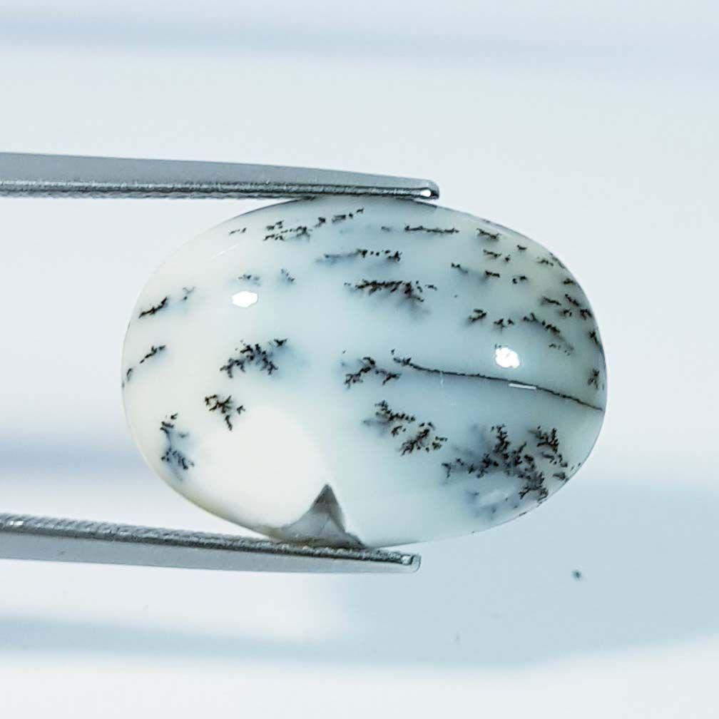 9.70 ct Natural Dendrite Opal: No Reserve! Title: 9.70 ct Natural Dendrite Opal Color/Clarity: Opaque Carat Weight: 9.7 Size/Dimensions: 21.10 x 15.50 x 4.80 Additional Information: Oval / Australia Shipping: Domestic: Flat-rate o