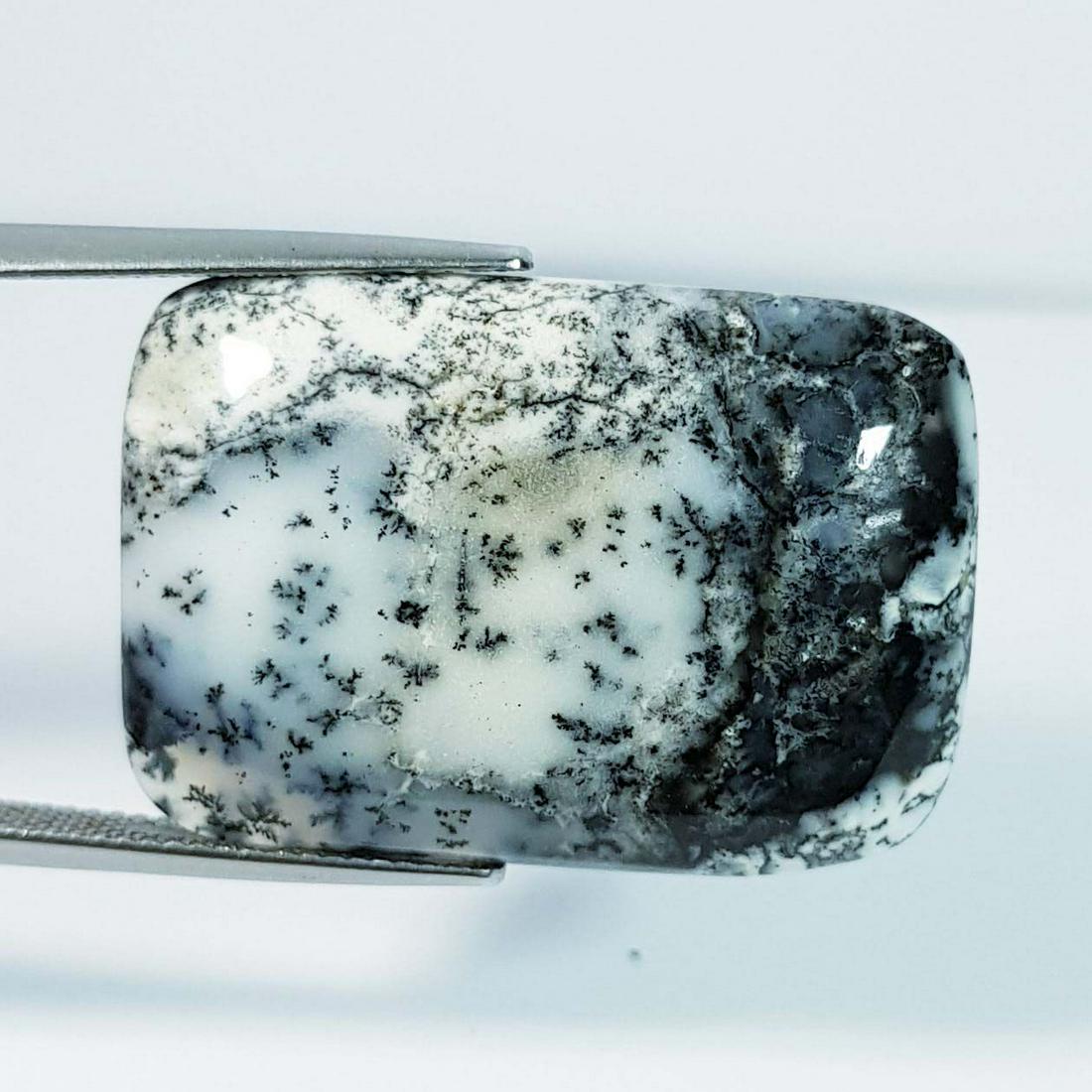 30.40 ct Natural Dendrite Opal (1 of 2)