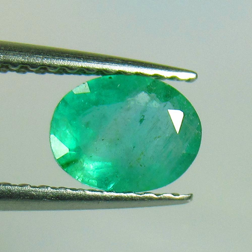 0.74 Ctw Natural Zambian Emerald Oval Cut: No Reserve! Title: 0.74 Ctw Natural Zambian Emerald Oval Cut Stone Clarity: SI Gemstones: Emerald Carat Weights: 0.74 Size/Dimensions: 6.90 x 5.30 x 3.20 mm Additional Information: Very Good Luster / 