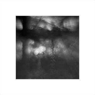 Dialogue 1 photopainting, Romanov Pavlo: Title: "Dialogue 1" photopaintingArtist: Romanov PavloMedium: Photographic paperDate/Period: 2021Additional Information: 5% of the purchase amount will be transferred to the fund for humanitarian aid