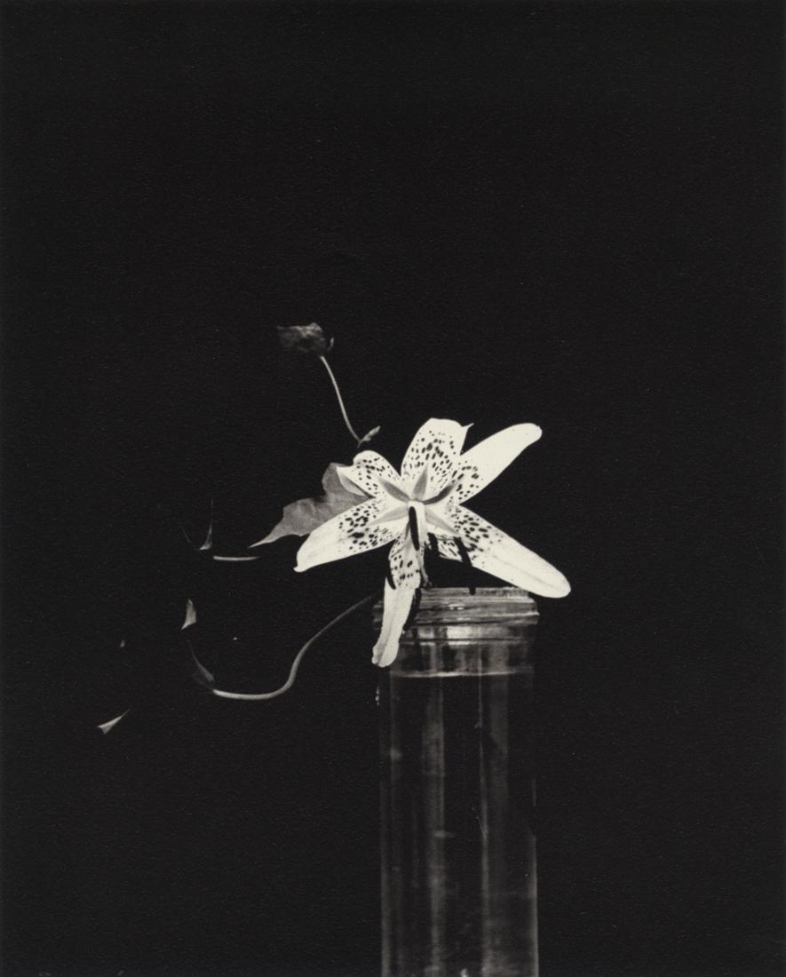 CONSTANTIN BRANCUSI - Still Life (Orchid), 1925: Artist: Constantin Brancusi Title: Still Life (Orchid), 1925 Medium: Photo Litho, 1999, Germany Dimensions: 7.85x9.7" Description: Heat Wax Mounted on 11x14" Conservation Board Reserve: $45.00 Ship
