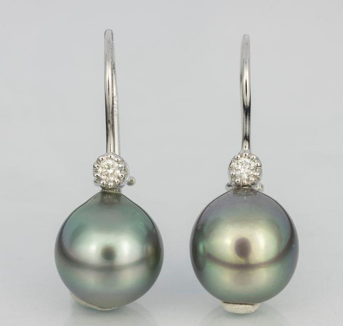 9x10mm Peacock Tahitian Pearl Drops - 14 kt. White gold - Earrings - 0.04 ct: Title: 9x10mm Peacock Tahitian Pearl Drops - 14 kt. White gold - Earrings - 0.04 ct Description: These earring hooks are set in 14K white gold and feature 0.04Ct VS Diamonds and big lustrous Tahitian 
