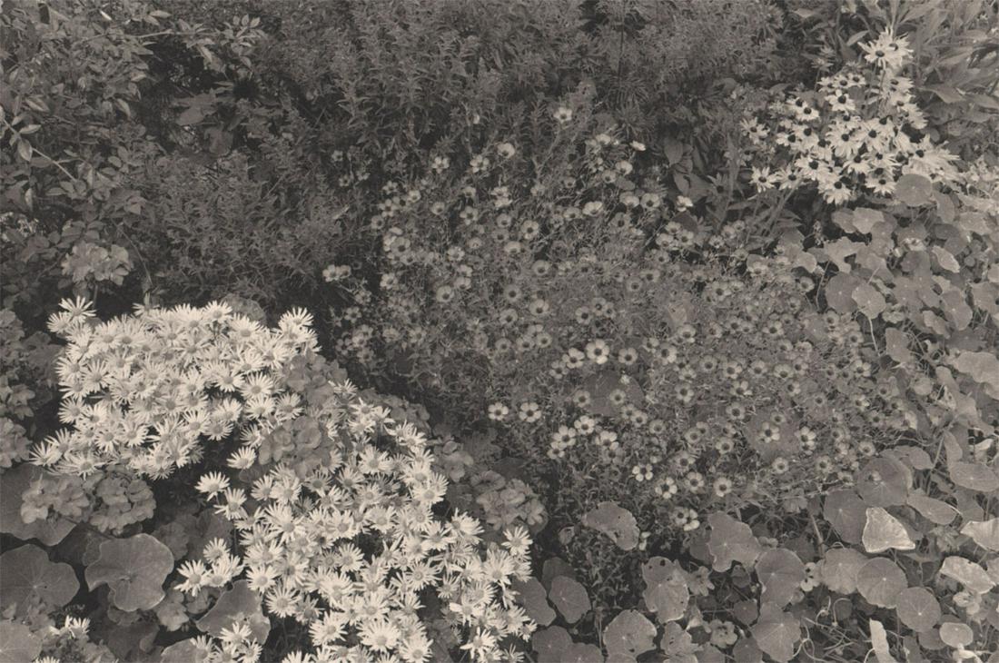 LEE FRIEDLANDER - Giverny, France, 1978: Artist: LEE FRIEDLANDER Print Title: Giverny, France, 1978 Medium: Photoengraving Printed 1980’s in the US Image size (inches) approx. 7.5 x 11” Lee Friedlander is an American photographer