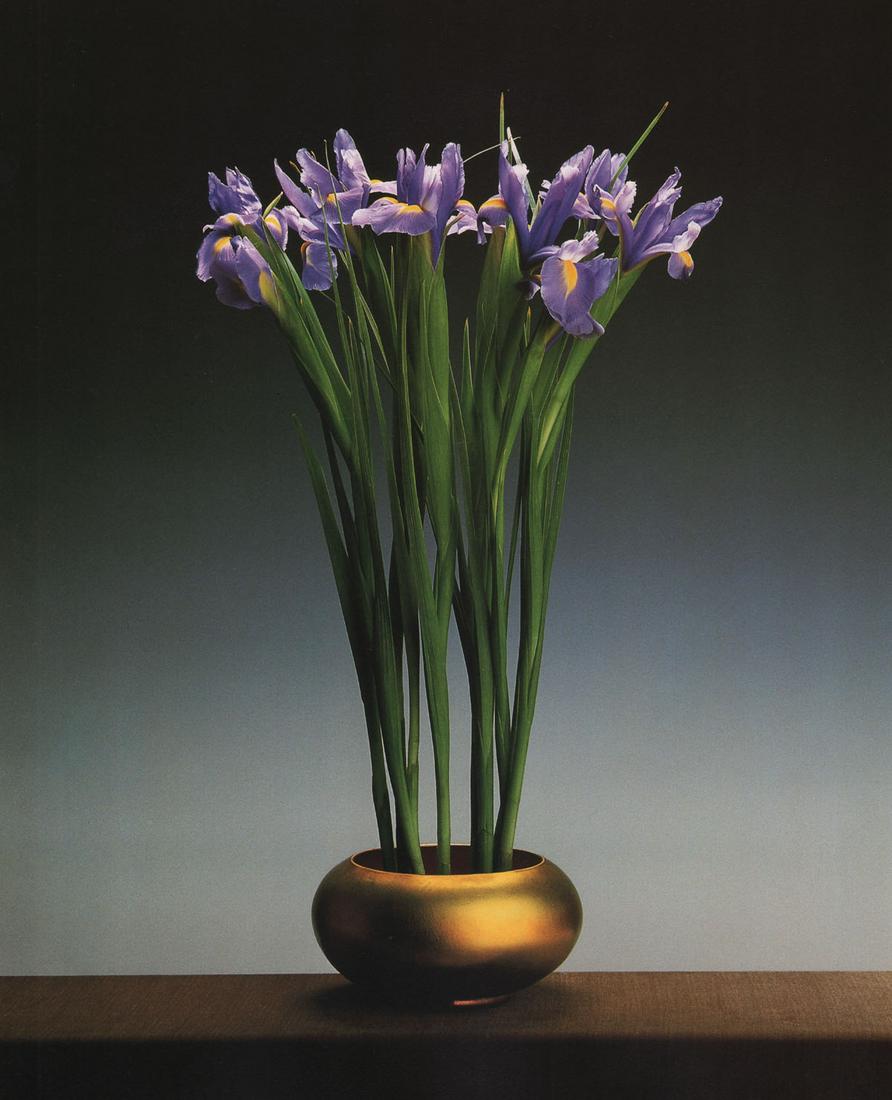 MAPPLETHORPE - Irises, 1988 (1 of 1)