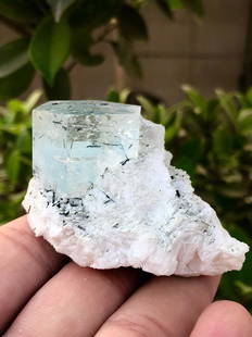 Aesthetic Aquamarine Specimen Natural Blue Aquamarine Crystal: Aesthetic Aquamarine Specimen, Natural Blue Aquamarine Crystal On Milky White Albite - 121 Gram Weight : 121 Gram Size : 57 x 50 x 36 mm Treatment : Natural Origin : Pakistan Standard Shipping 