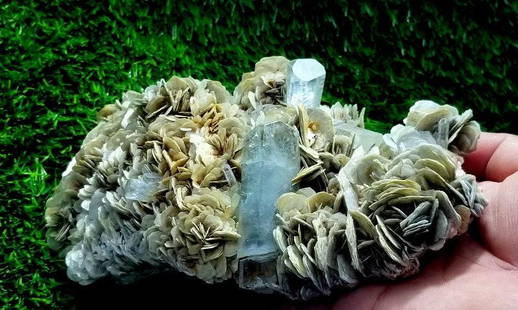 1241 GramsVery Beautiful natural Blue undamage Aquamarine: 1241 GramsVery Beautiful natural Blue undamage Aquamarine Crystals With Muscovite Mica Specimen From Nagar Skardu Pakistan size 64mm 110mm 210mm weight 1241 Grams Reserve: $700.00 