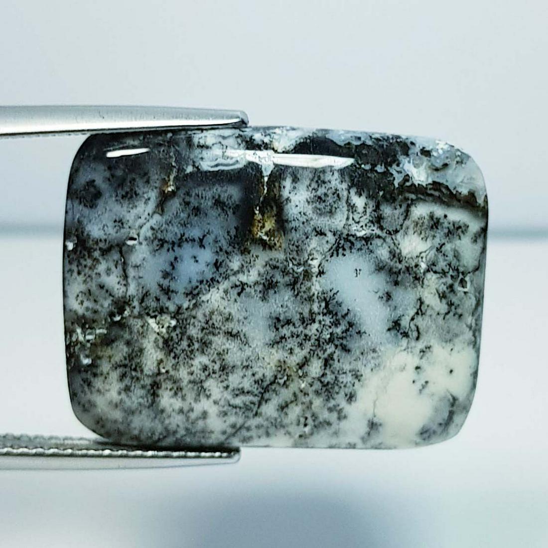 19.11 ct Natural Dendrite Opal (1 of 5)