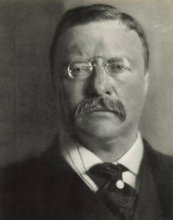 ALVIN LANGDON COBURN - Theodore Roosevelt: Artist: Alvin Langdon CoburnTitle: Theodore RooseveltMedium: Photogravure, 1960, GermanyDimensions: 9.3x11.8"Description: Heat Wax Mounted on 12x16" Conservation BoardArtist Bio: Alvin Langdon