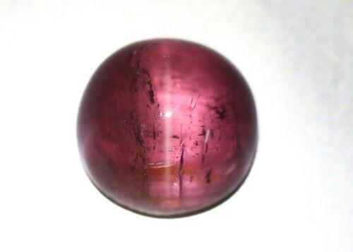 Certified 7.72 Cts Natural Unheated Copper Bearing Tourmaline Cat's Eye ": Title: Certified 7.72 Cts Natural Unheated Copper Bearing Tourmaline Cat's Eye " Color/Clarity: purplish red/VS natural/untreated Carat Weights: 7.66 Size/Dimensions: 11.39x11.23x7.64 mm Origin: Mozam