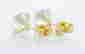 item-127007365=3