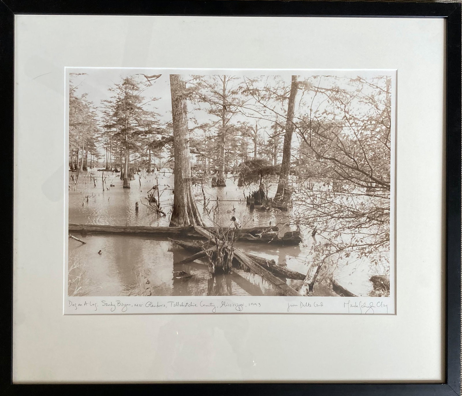 Dog on a Log (Sandy Bayou, Mississippi) 1993: A wonderfully evocative (with a wink of humor) photograph by renowned Southern photographer Maude Schuyler Clay, who concentrates her work on the Mississippi Delta. If you look closely, you'll see the