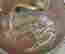 item-127397266=5
