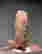 item-127646731=4