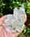 item-127646751=4