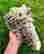 item-127646893=3