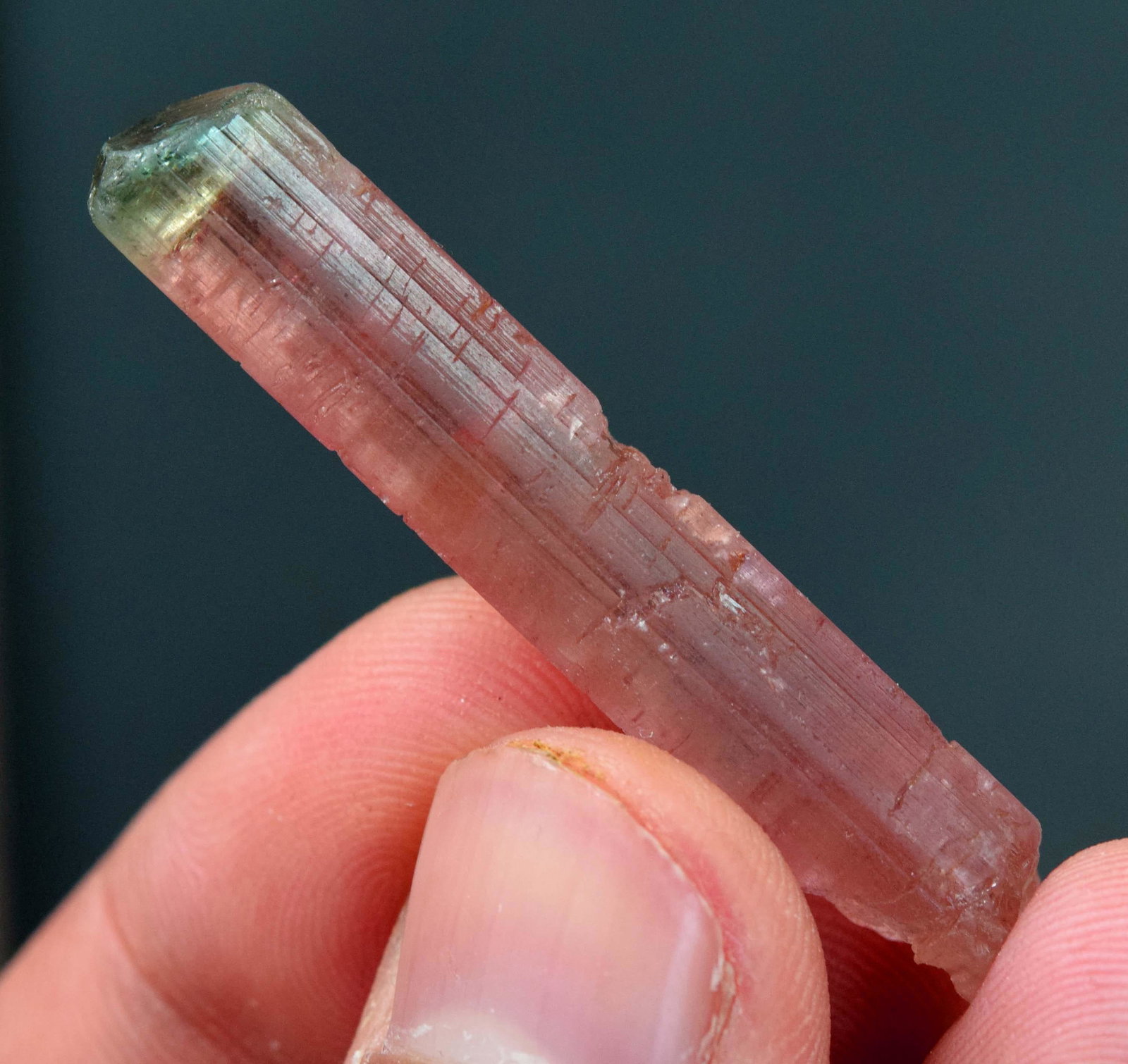 33.95 Carats Stunning Diamond Cut Terminated And Undamaged Green Cap Bi-Color Natural Tourmaline (1 of 7)