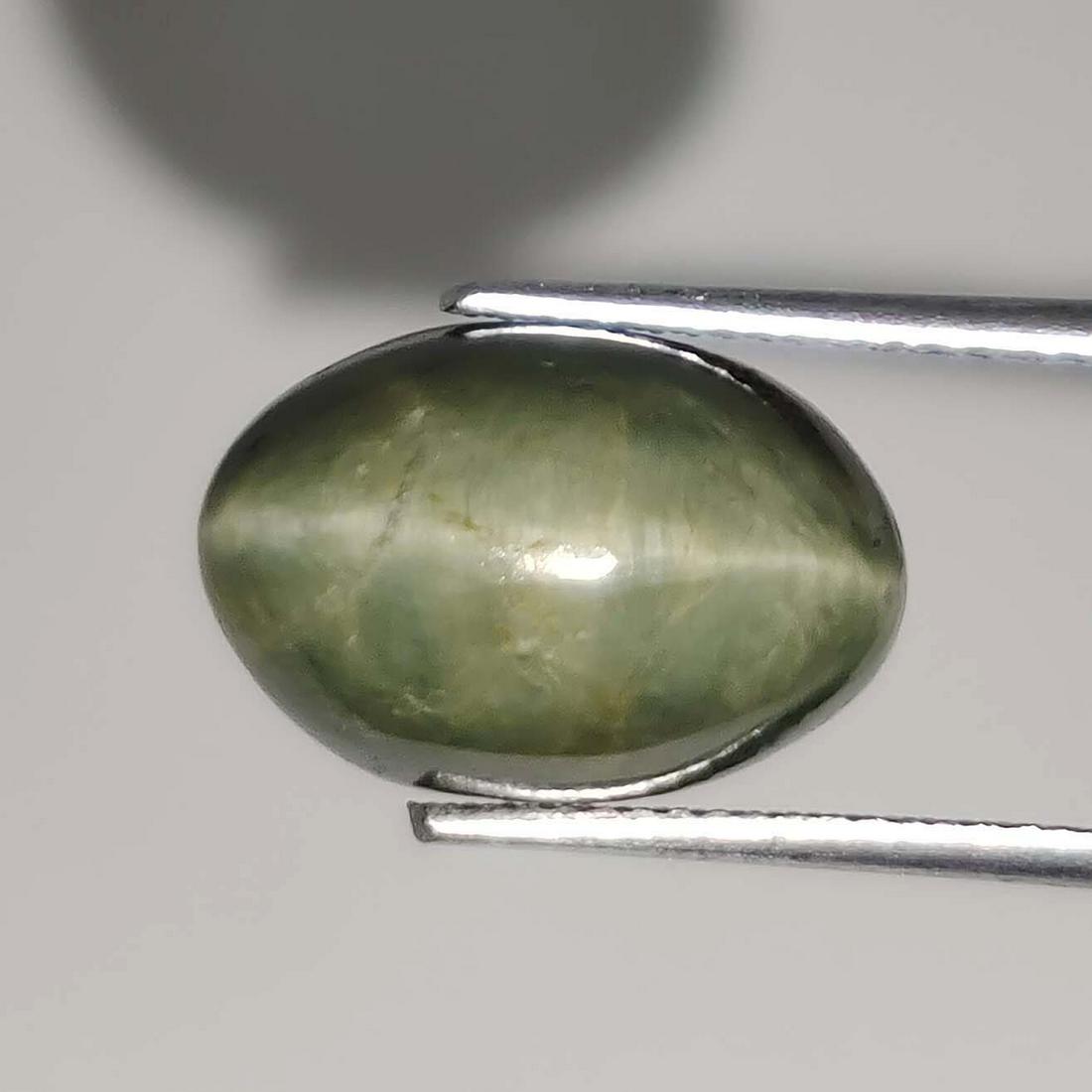 10.50 ct Natural Cat's Eye: No Reserve! Title: 10.50 ct Natural Cat's Eye Additional Info: Gemstones: Cat's Eye Carat Weights: 10.50 ct Size/Dimensions: 14.4 X 10 X 9.6 mm Materials & Techniques: Cat's Eye Weight Unit: Ct Shippi
