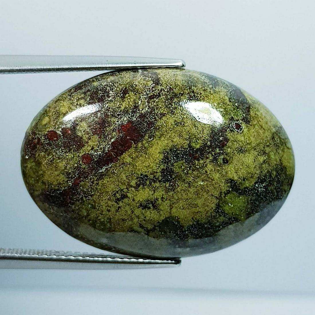 34.05 Ct Natural Dragon Jasper (1 of 2)