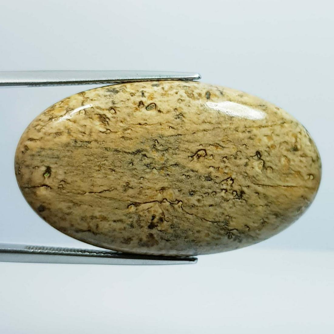 47.42 ct Natural Picture Jasper: No Reserve! Title: 47.42 ct Natural Picture Jasper Color/Clarity: Opaque Gemstones: Gemstones Carat Weights: 47.42 Size/Dimensions: 39.60 x 22.55 x 6.60 Additional Information: Oval - Brazil Shipping: