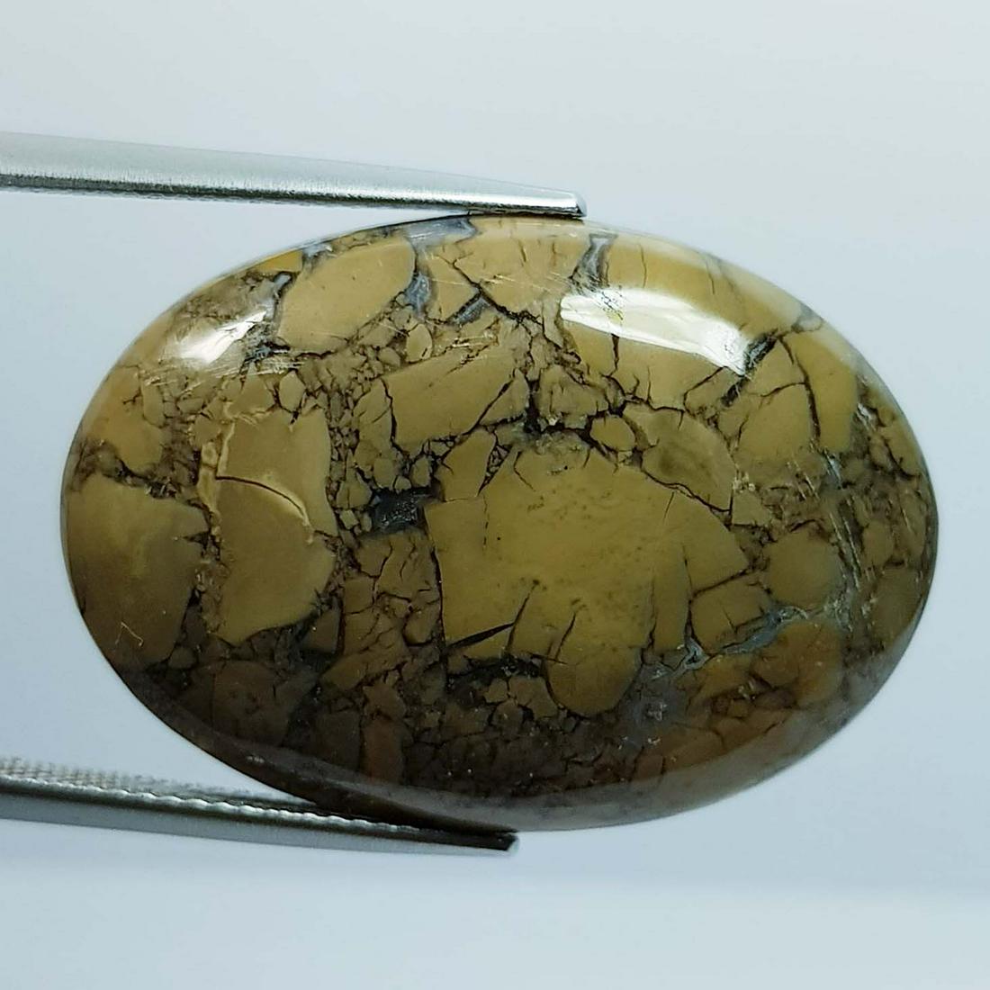 33.15 ct Natural Thunder Agate (1 of 2)