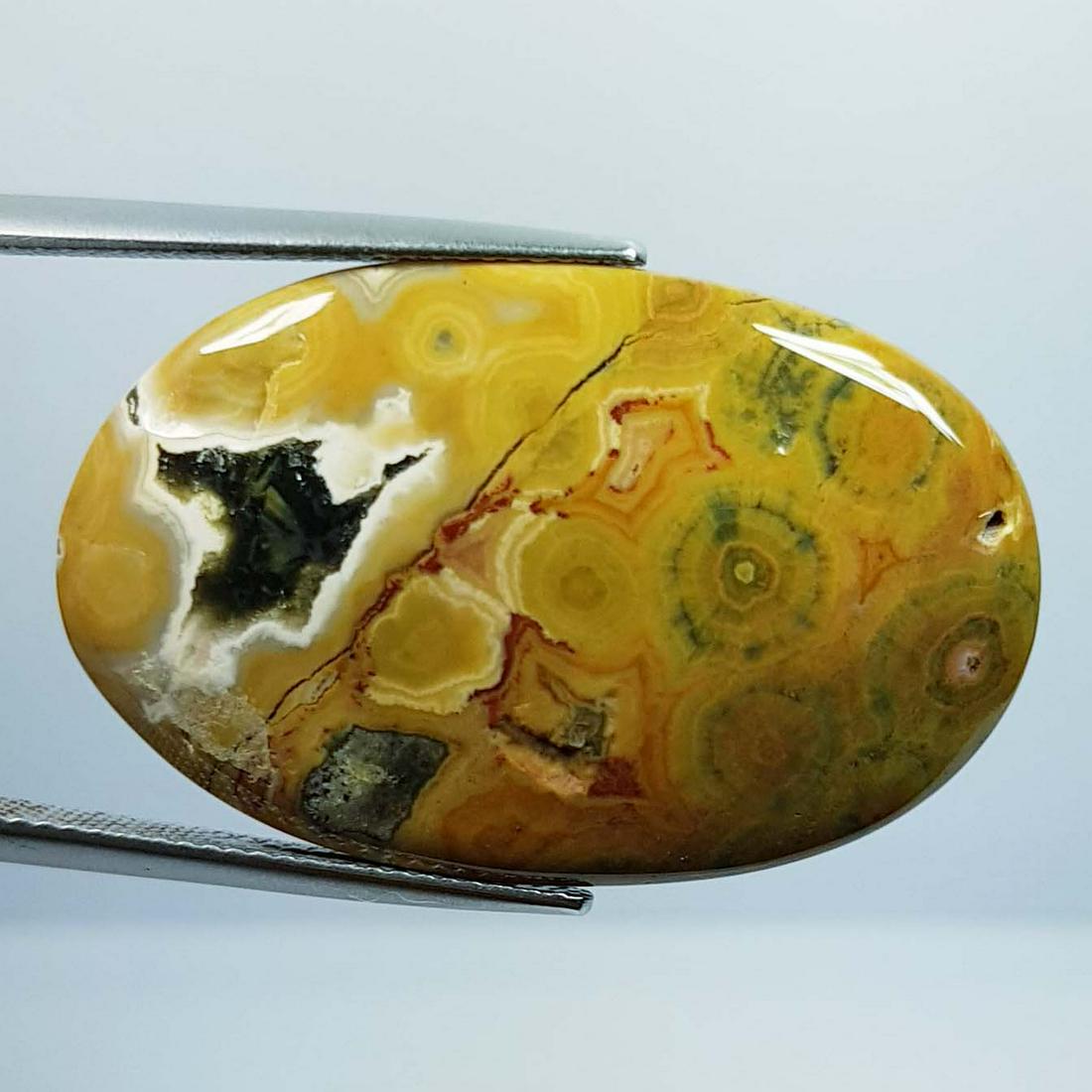 30.95 ct Natural Ocean Jasper: No Reserve! Title: 30.95 ct Natural Ocean Jasper Color/Clarity: Opaque Gemstones: Gemstones Carat Weights: 30.95 Size/Dimensions: 33.70 x 21.40 x 5.20 Additional Information: Oval - Brazil Shipping: