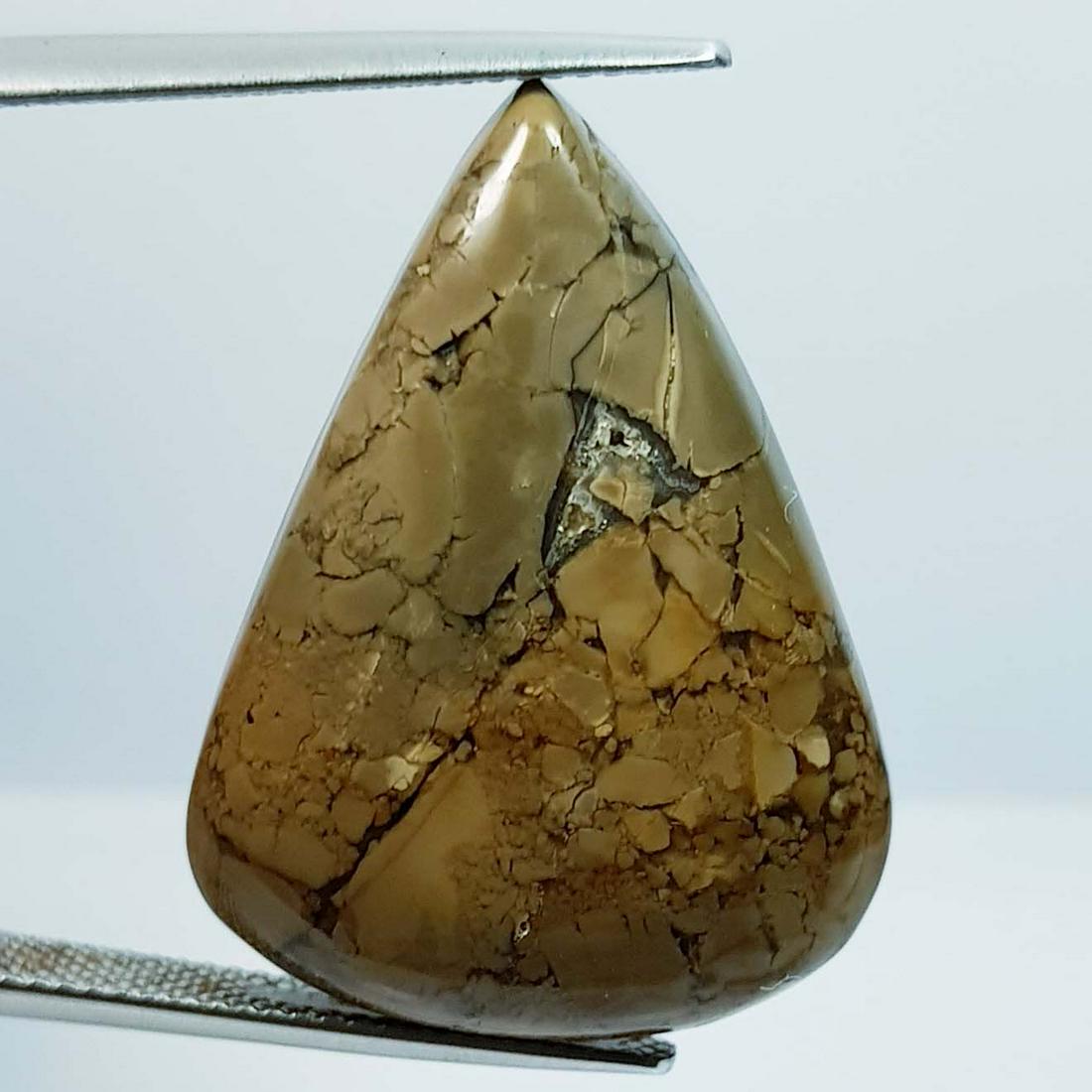 27.90 ct Natural Thunder Agate (1 of 2)