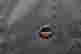 item-127734488=4