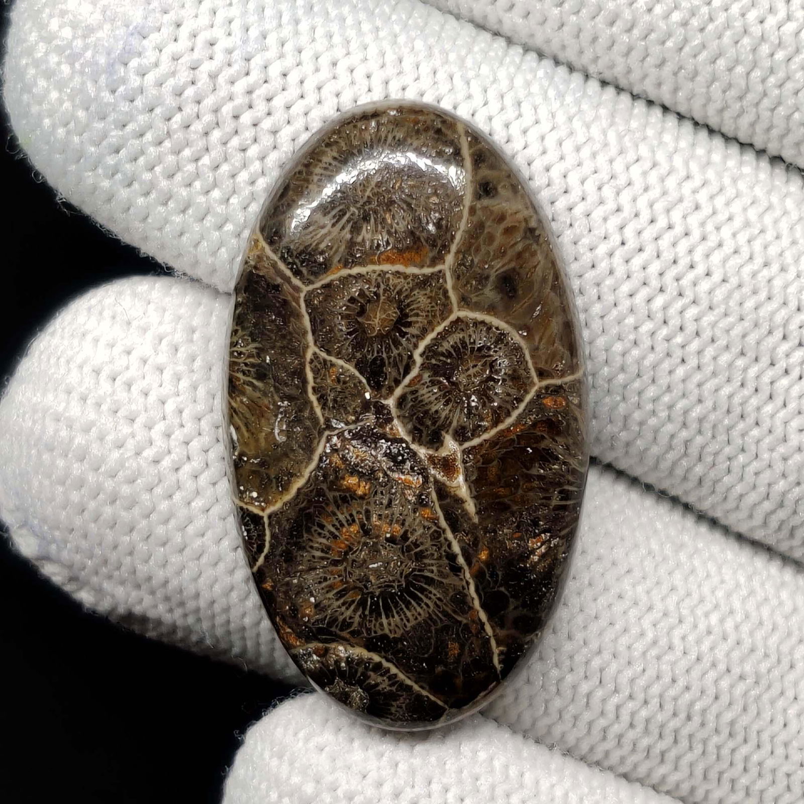 32.05 ct Natural Spider Web Fossil Coral (1 of 1)