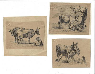 18th C Engravings Cattle Paulus Potter: Title: 18th C Engravings Cattle Paulus Potter Additional Information: Three engravings after Paulus Potter (1625-1654) of farm animals including two of cows and one of a mule. Very Good, mounted and m