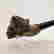 item-128101086=5