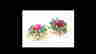 item-128168523=2